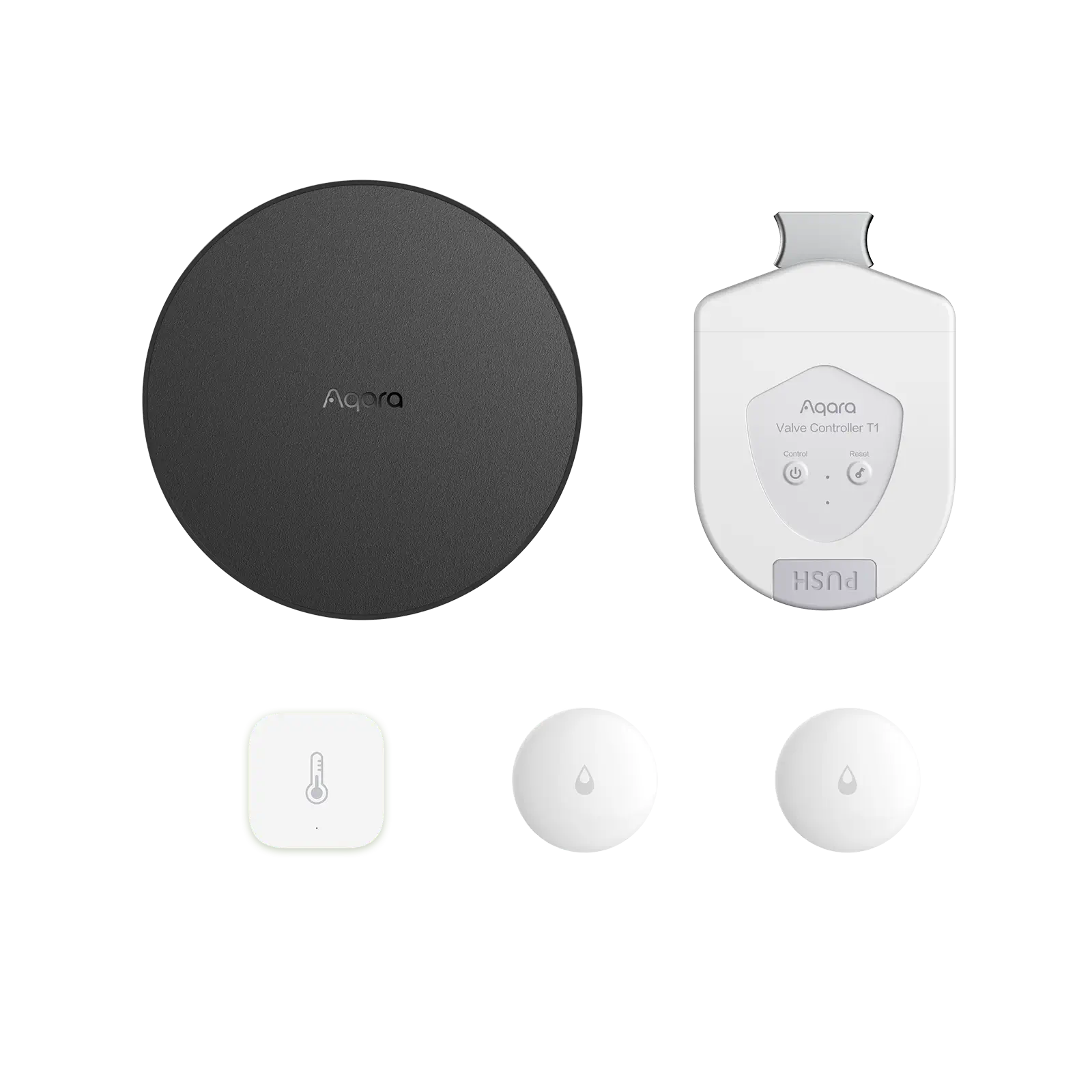 Flood & Temperature Monitoring Kit