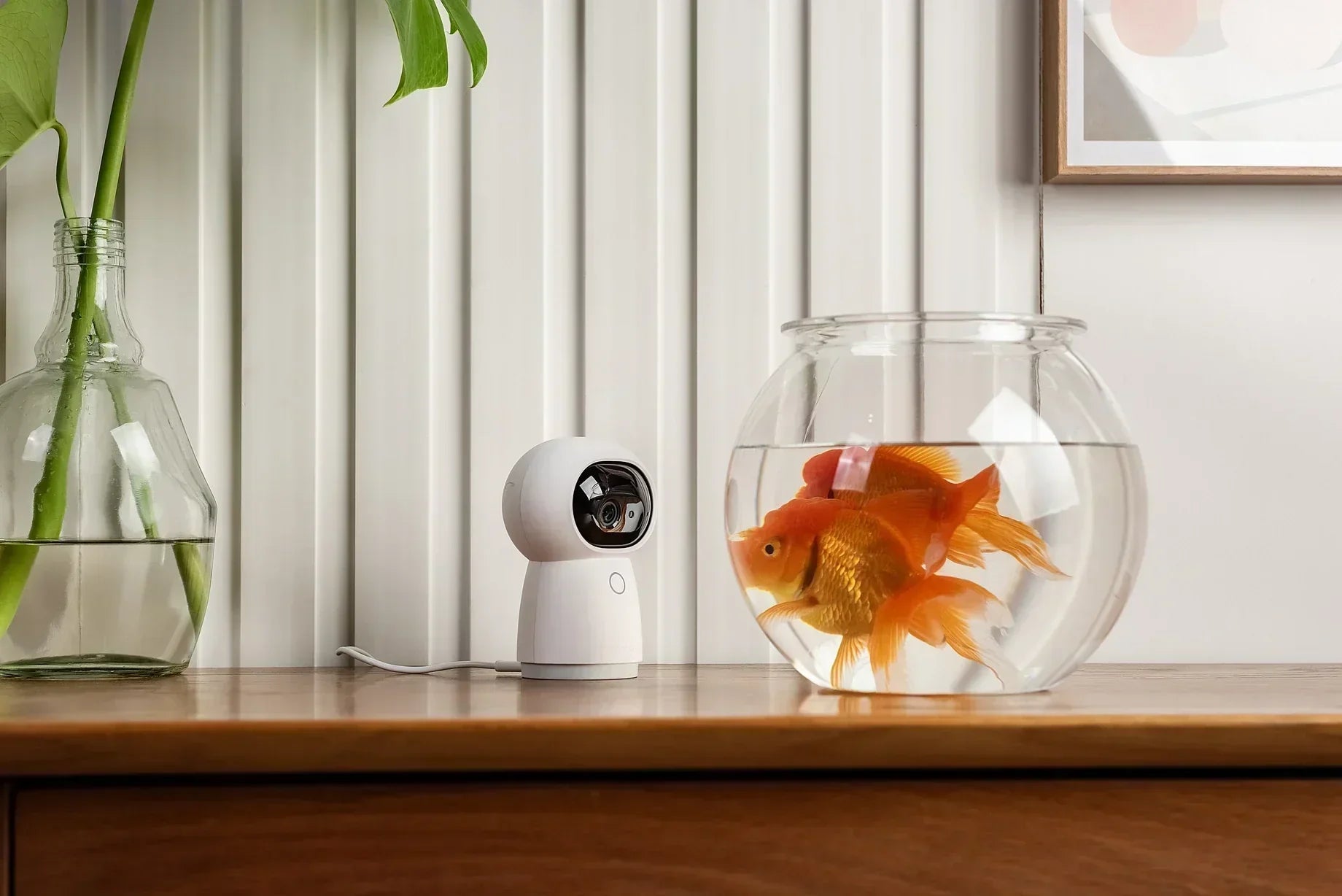 How to Remotely View Security Cameras: A Complete Guide – Aqara LLC