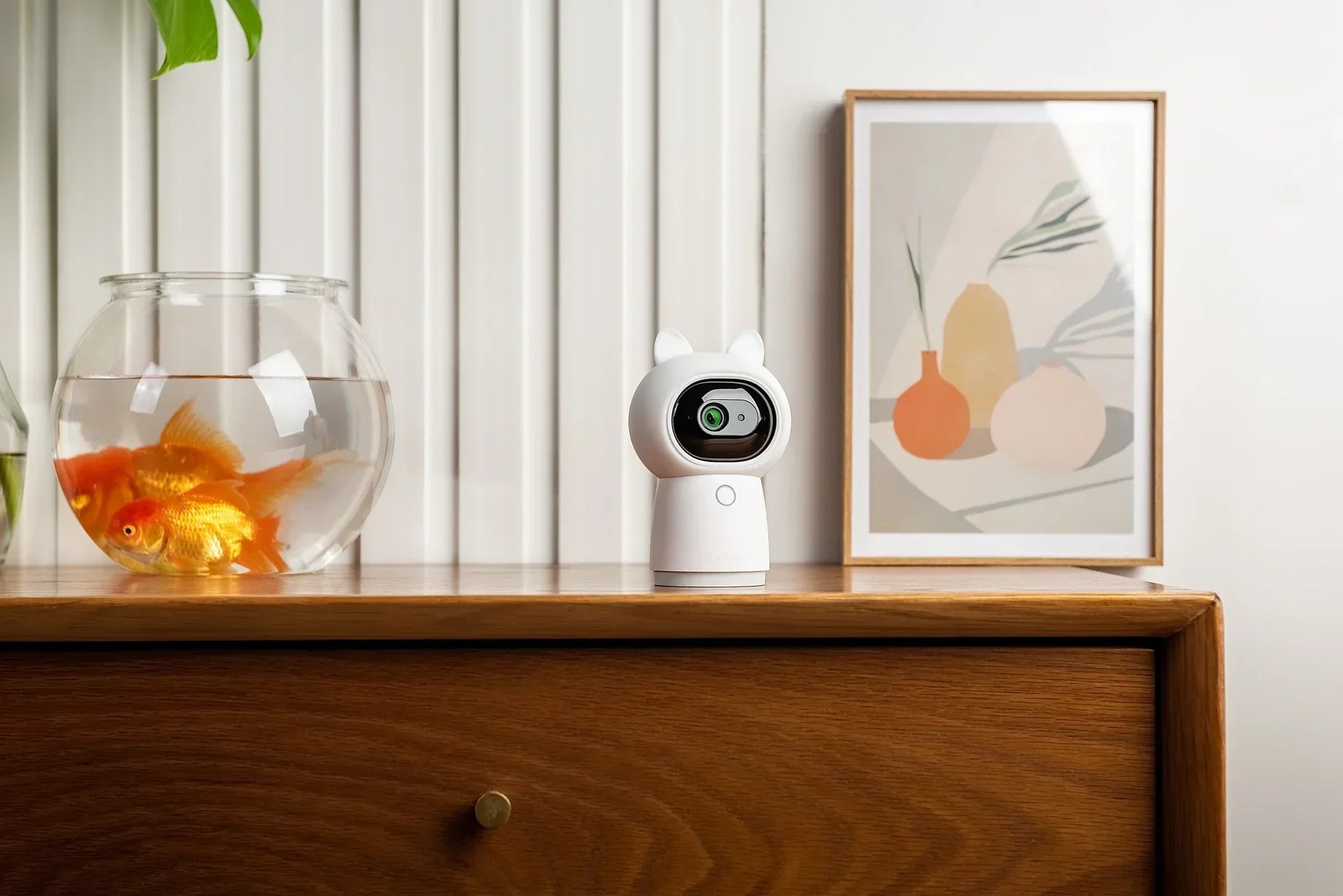 Best Home Security Camera Without Subscription 2025