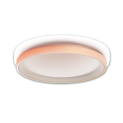 Ceiling Light T1M – Aqara LLC