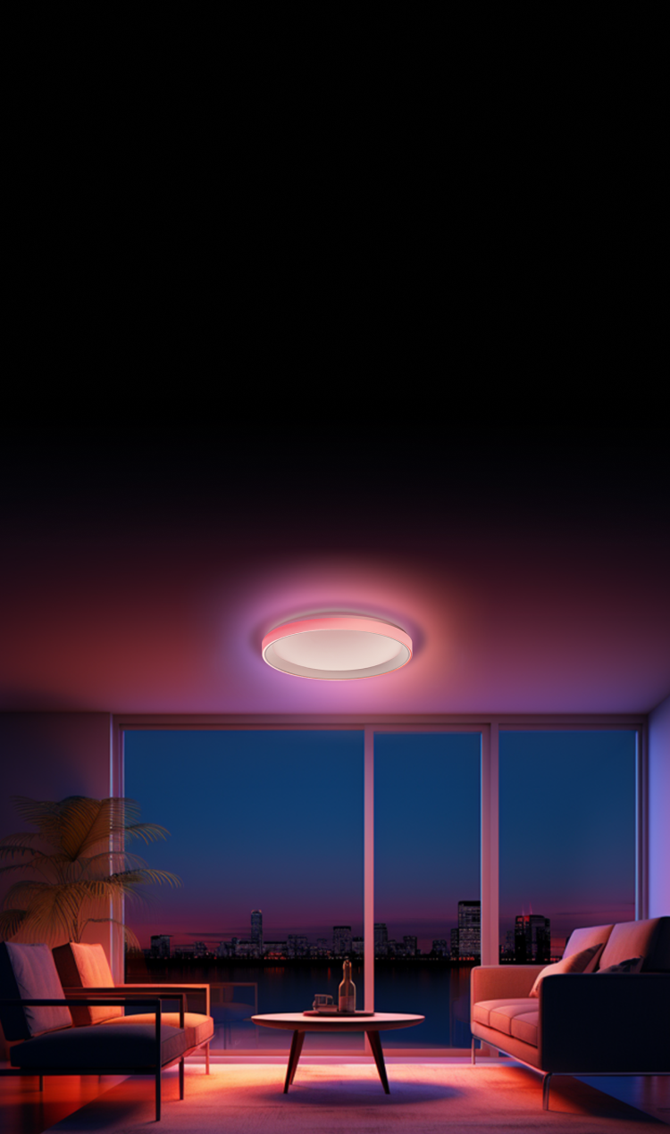 Ceiling Light T1M